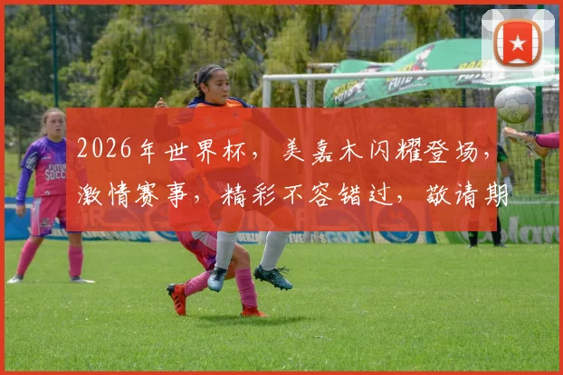 2026年世界杯，美嘉木闪耀登场，激情赛事，精彩不容错过，敬请期待