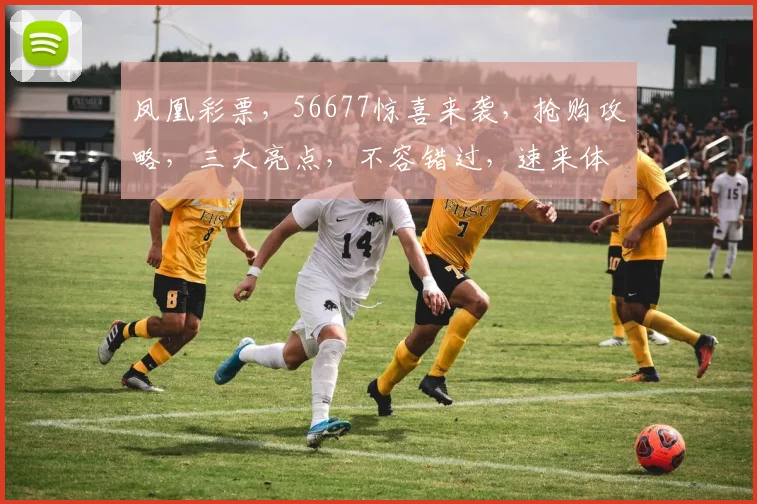 凤凰彩票，56677惊喜来袭，抢购攻略，三大亮点，不容错过，速来体验