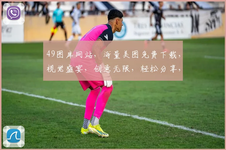 49图库网站，海量美图免费下载，视觉盛宴，创意无限，轻松分享，时尚生活必备