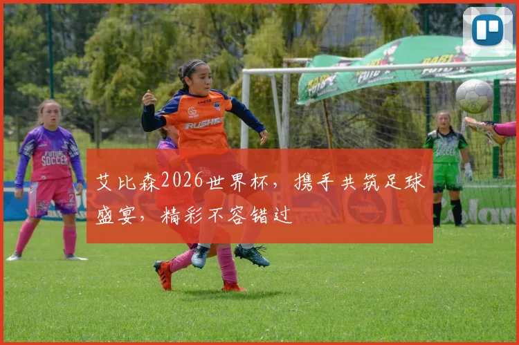 艾比森2026世界杯，携手共筑足球盛宴，精彩不容错过