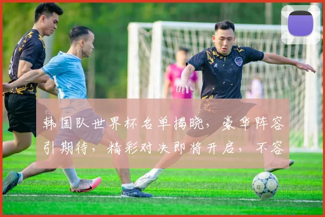 韩国队世界杯名单揭晓，豪华阵容引期待，精彩对决即将开启，不容错过